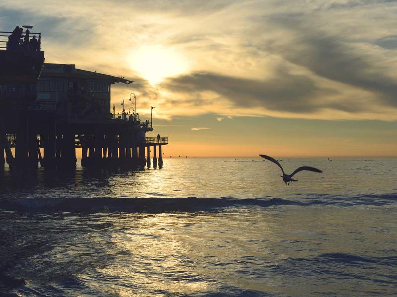 攻壳机动队<br>uwsuuyl.cn 素子Ghost探寻